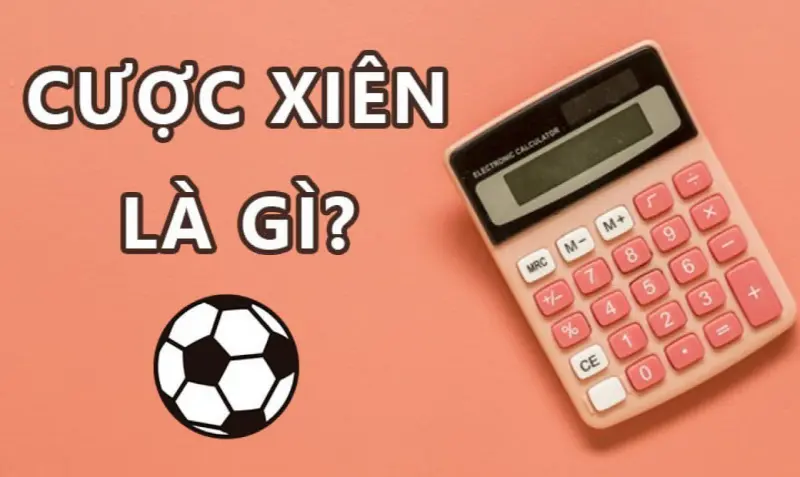 Cược Xiên Là Gì? Cách Bắt Kèo Chuẩn Đến Từng Chi Tiết